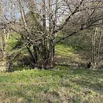 Le Moulin Bonvillard